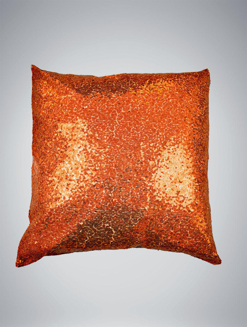 sequin pillow with picture